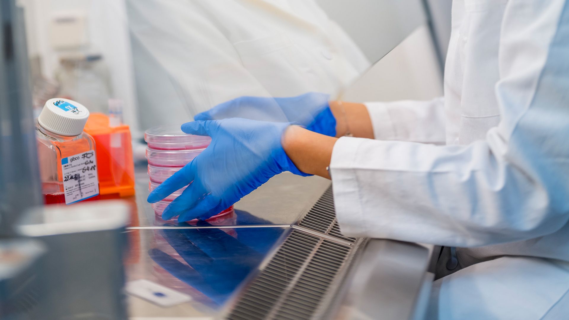 Petri dishes lab environment