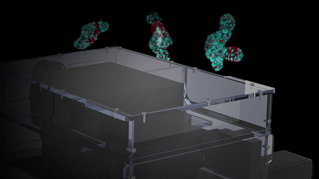 Light Sheet Microscopes Light Sheet Microscopes