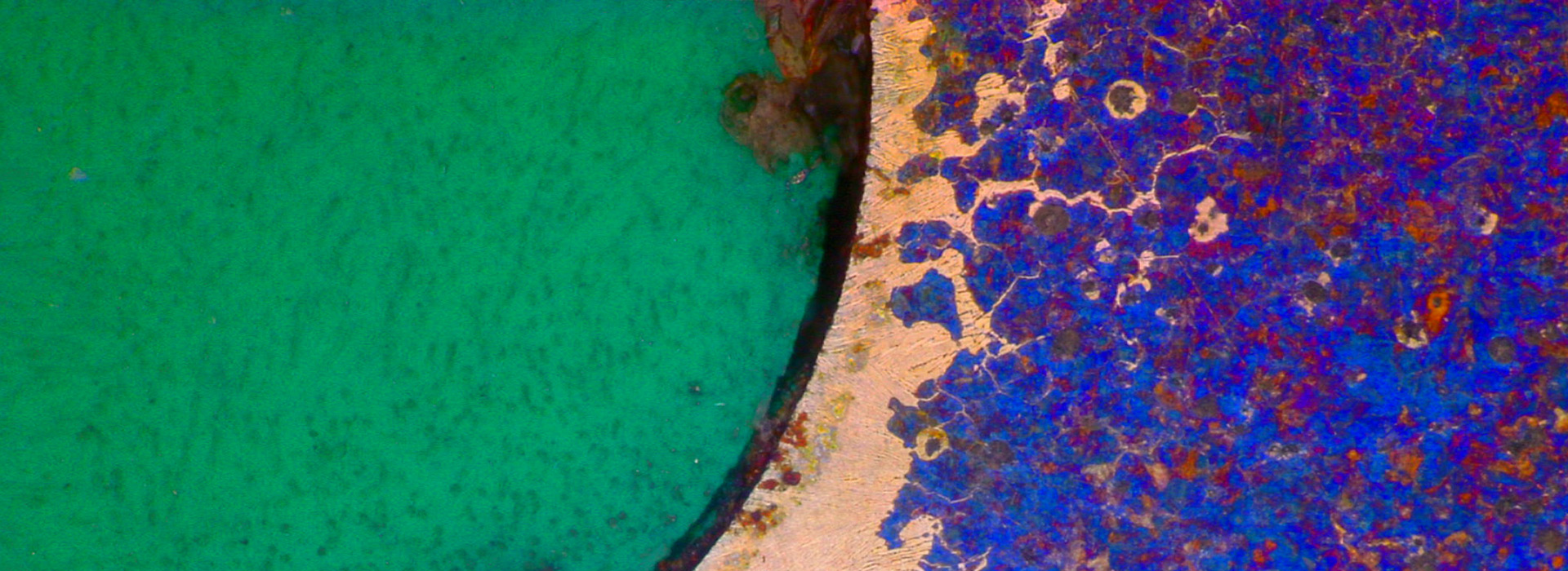 Leica Digital Microscopes Sample